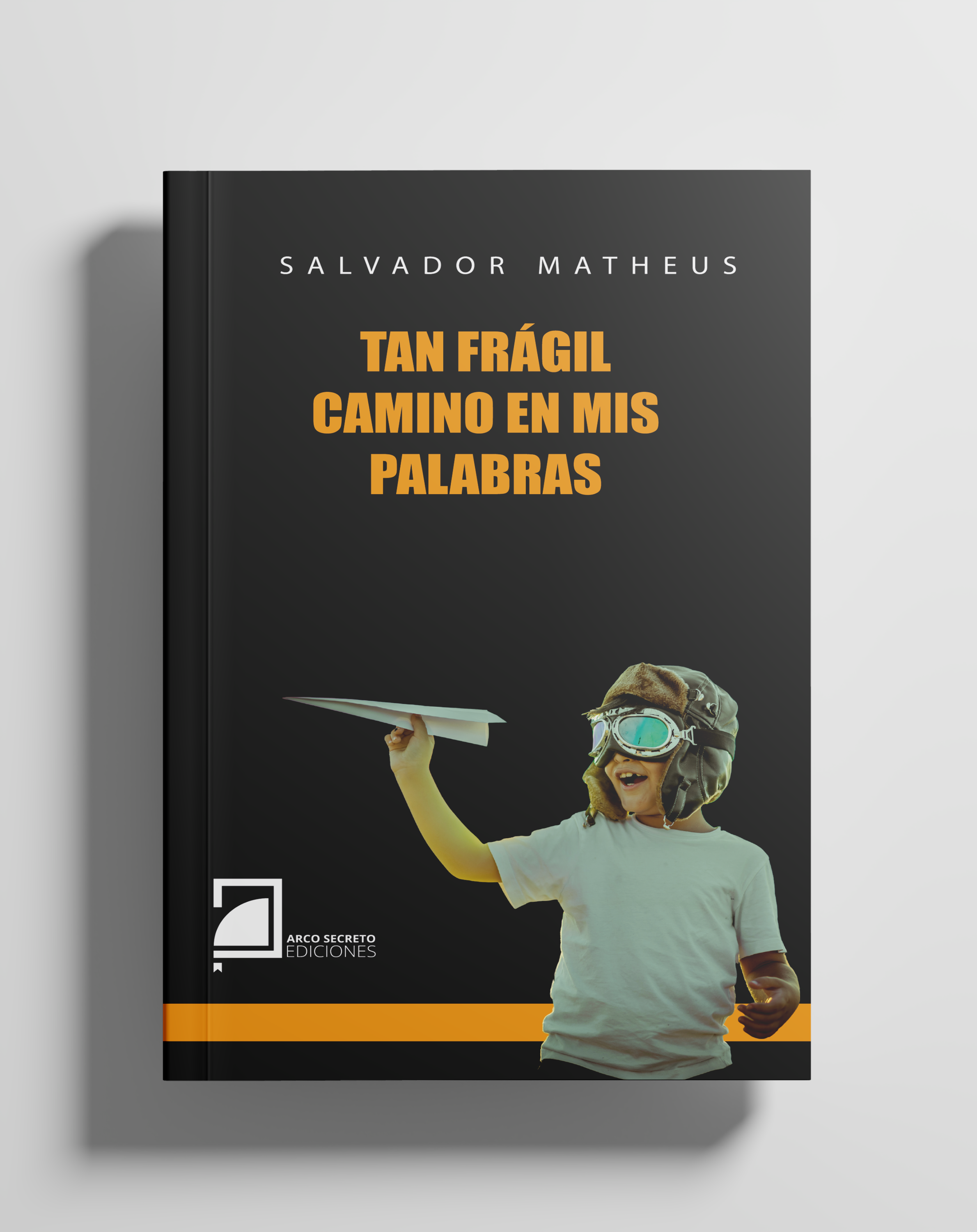 Portada de Tan frágil camino en mis palabras